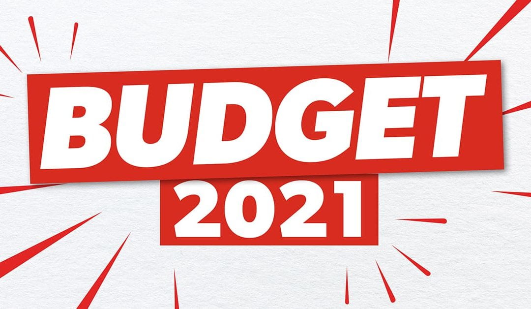 NZ Budget 2021